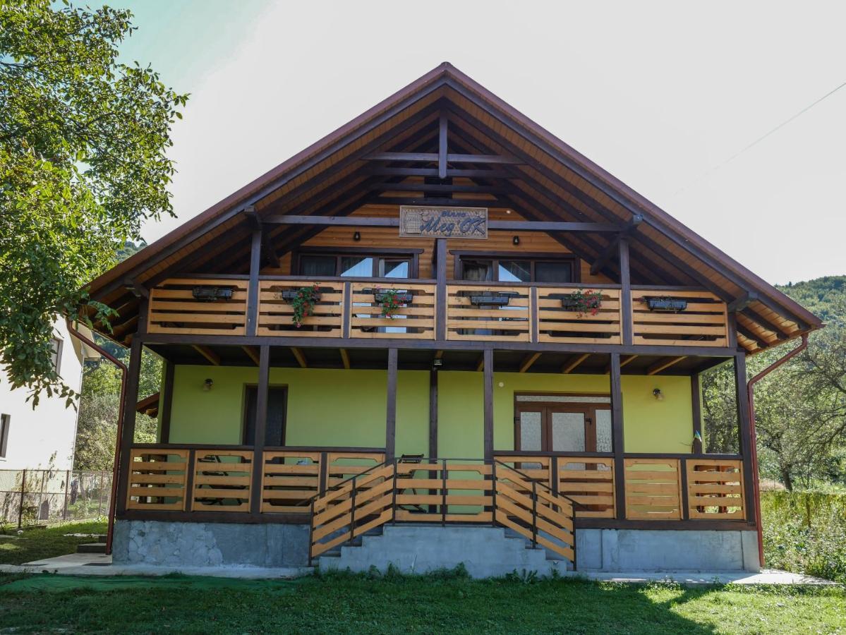 Villa Med'Ok Wyschnyzja Exterior foto